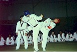 Taekwondo Competition- Photo : NSIC Collection ASC